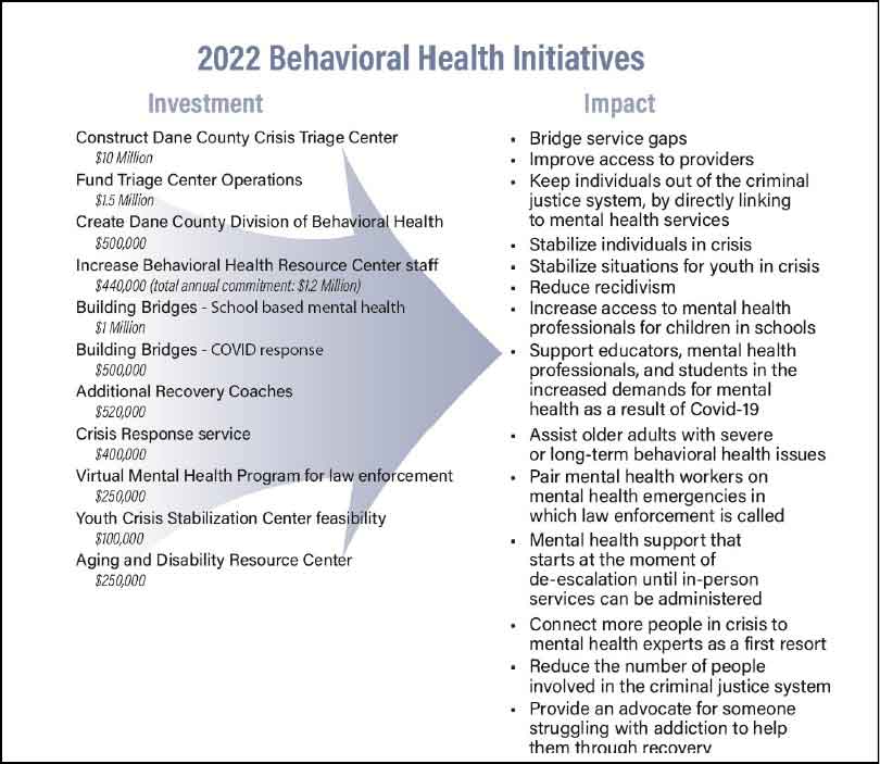 Graphic of Behavioral Health Issues
