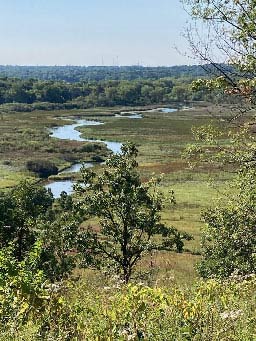 Field with a river